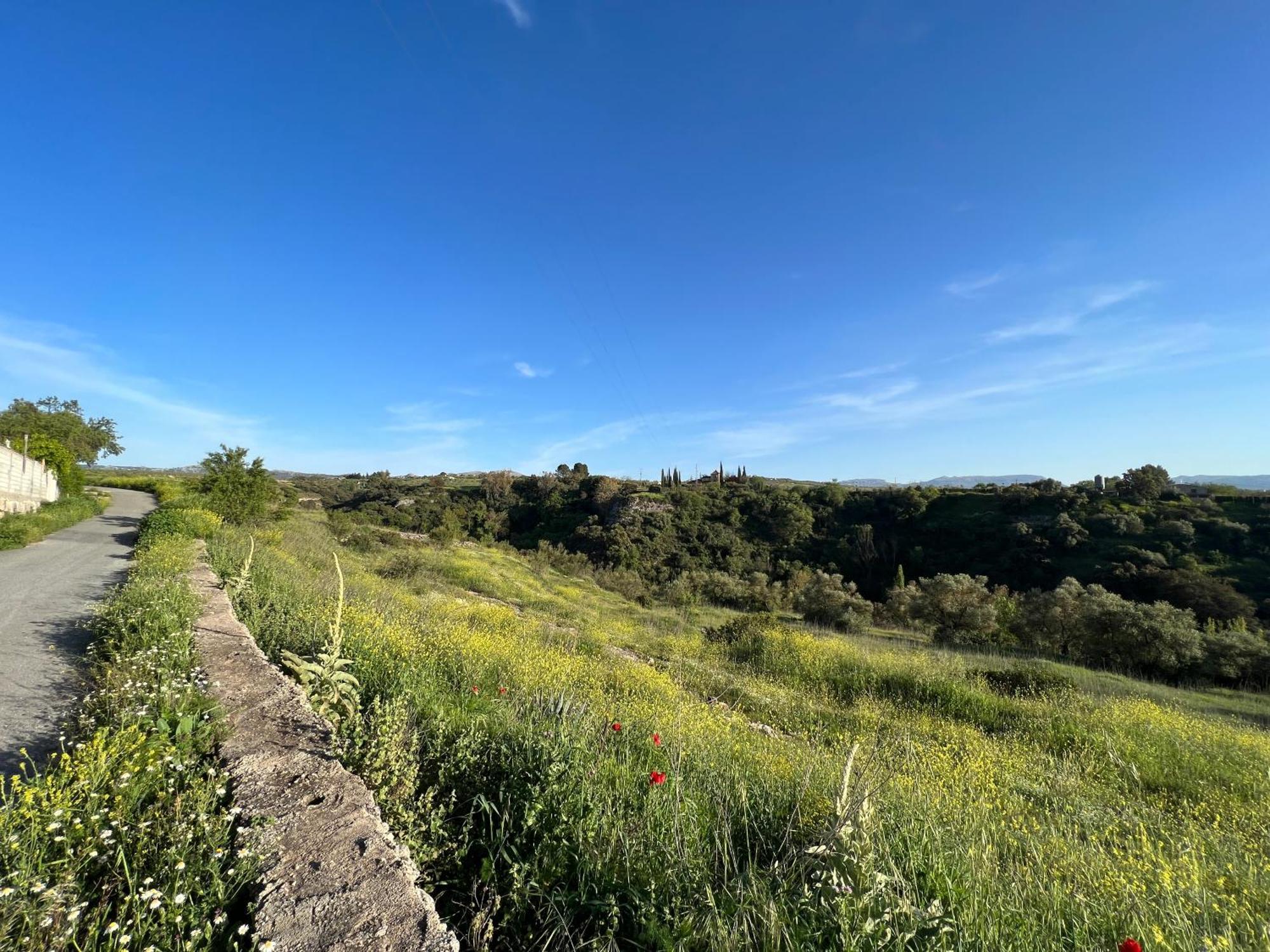 Villa Ignacia B&B - Naturaleza Entre Ronda Y Setenil Арріате Екстер'єр фото